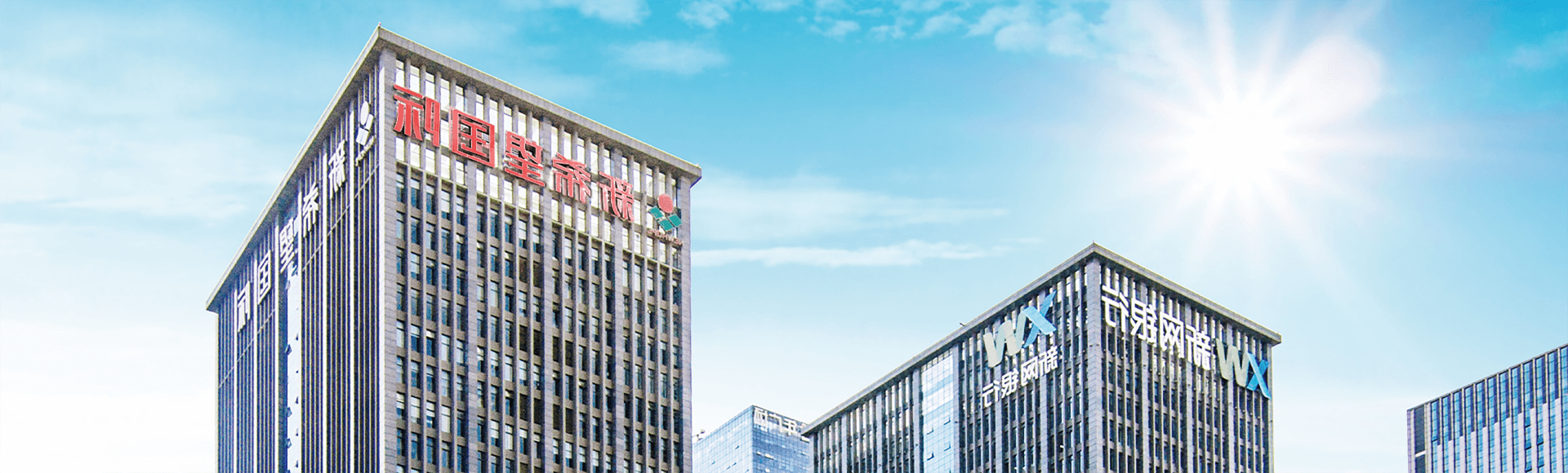 關(guān)于新希望